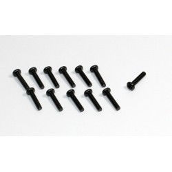 Head Cross screw M3x16 (12) Sand Buggy