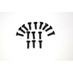 Flat phillips head screw M3x10 (15) ATC 2.4 RTR/BL