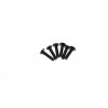 Cap Head screw (4) AMT2.4 RTR/BL