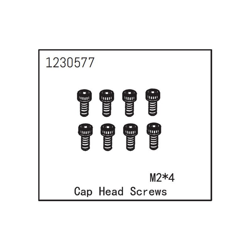 Cap Head Screw M2*4 (8)