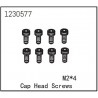 Cap Head Screw M2*4 (8)