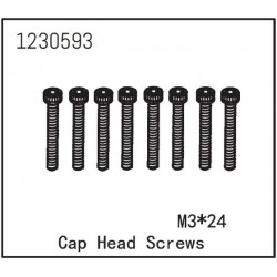Cap Head Screw M3*24 (8)