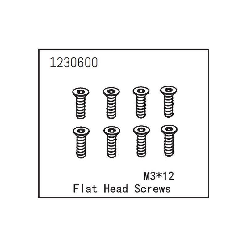Flat Head Screw M3*12 (8)