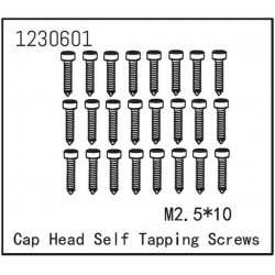 Self-tapping Cap Screw M2.5*12 (24)