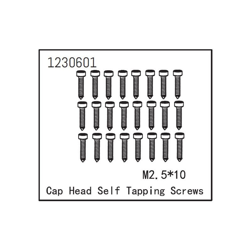 Self-tapping Cap Screw M2.5*12 (24)