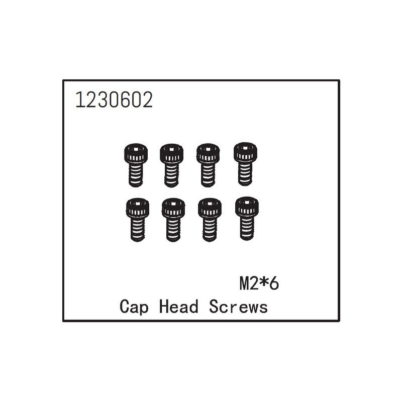 Cap Head Screw M2*6 (8)