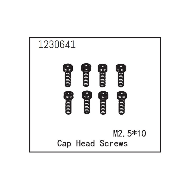 Cap Head Screws M2.5*10 (8)