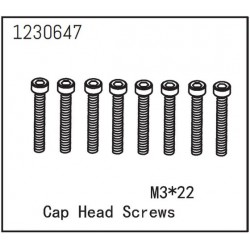Cap Head Screws M3*22 (8)