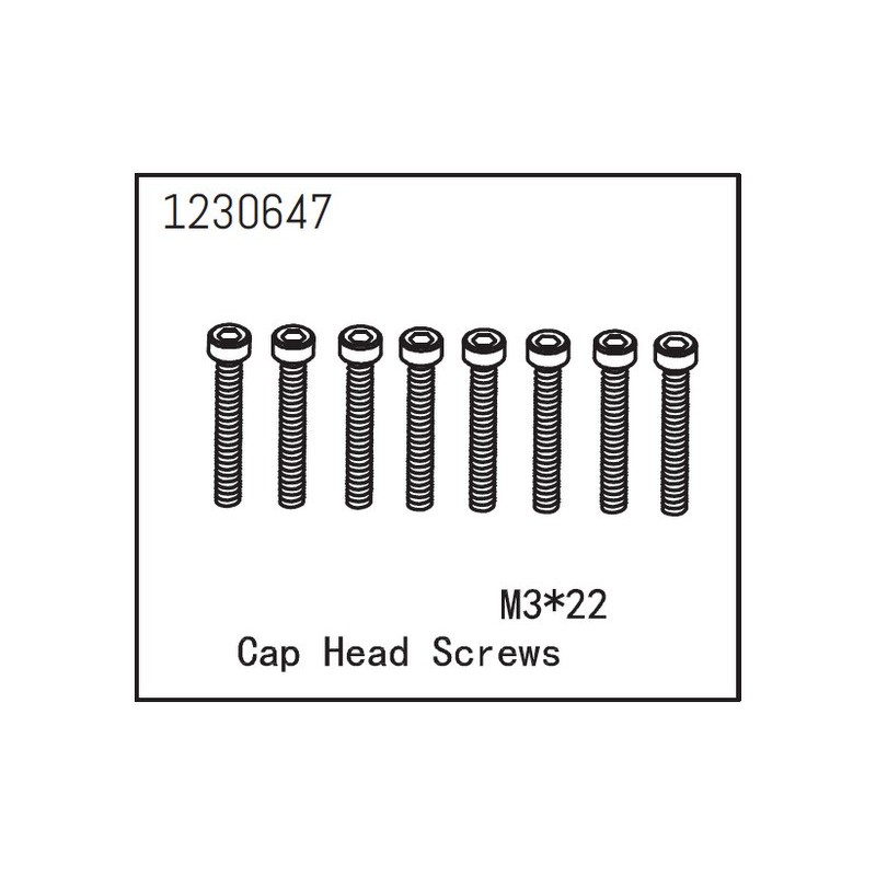 Cap Head Screws M3*22 (8)