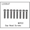 Cap Head Screws M3*22 (8)