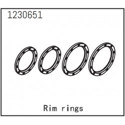 Beadlock Rings (4)
