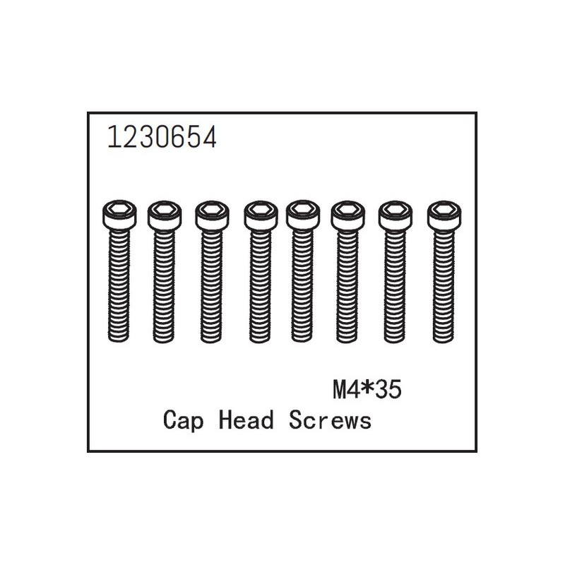 Cap Head Screws M4*35 (8)