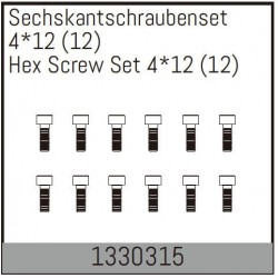 Hex Screw Set 4*12 (12)