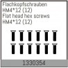 Flat head hex fine pitch screws HM4*12/12 pcs