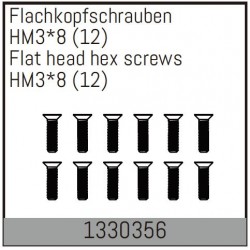 HM3*8mm Flat Hex Screw  12pcs