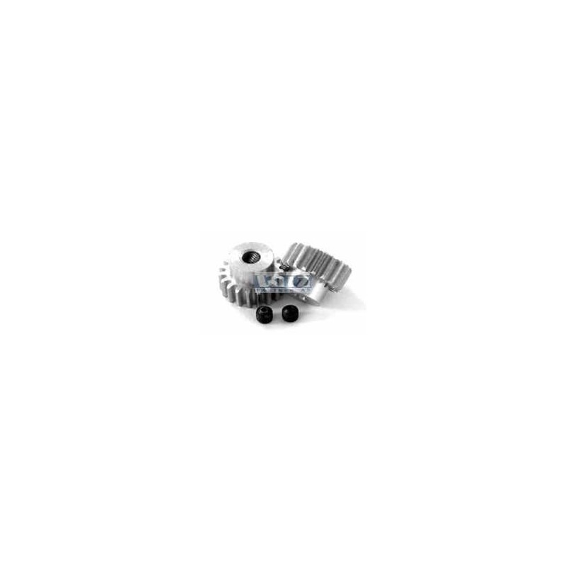 HBX Piniondrev 19T