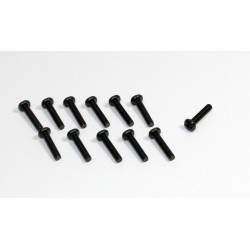 Head Cross screw M3x12 (12) Sand Buggy