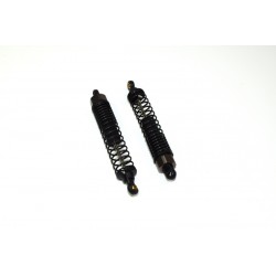 Shock Absorber complete f/r (2) AMT2.4 RTR/BL