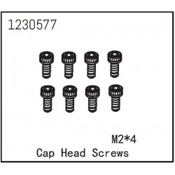 Cap Head Screw M2*4 (8)