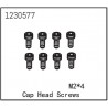 Cap Head Screw M2*4 (8)