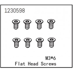 Flat Head Screw M3*6 (8)