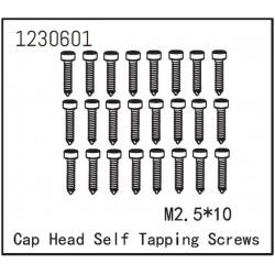 Self-tapping Cap Screw M2.5*12 (24)