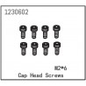 Cap Head Screw M2*6 (8)