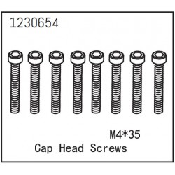 Cap Head Screws M4*35 (8)