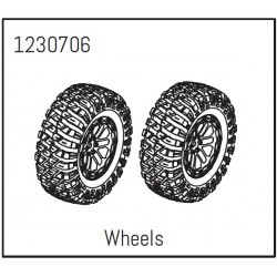 Wheels - Khamba (2)