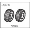 Wheels - Khamba (2)