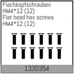 Flat head hex fine pitch screws HM4*12/12 pcs