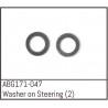 Steering Washer (2)