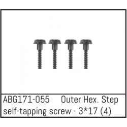 Outer Hex. Step Self-Tapping Screw M3*17 (4)