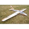 FMS Fox 3000mm Aerobatic EP Glider PNP FMS Fox 3000mm Aerobatic EP Glider PNP