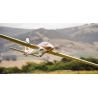 FMS Fox 3000mm Aerobatic EP Glider PNP FMS Fox 3000mm Aerobatic EP Glider PNP