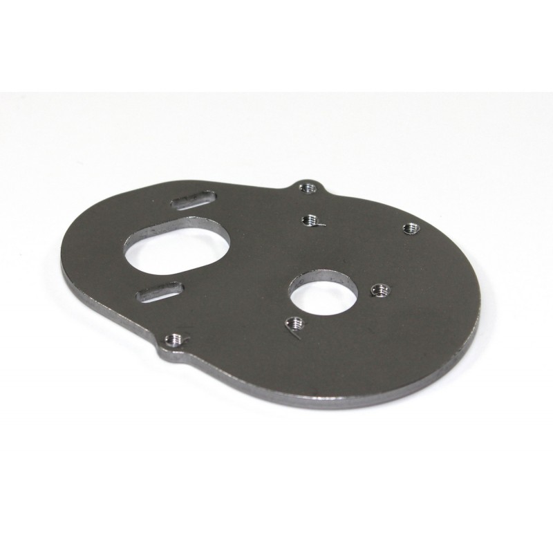 Motor Plate 2WD