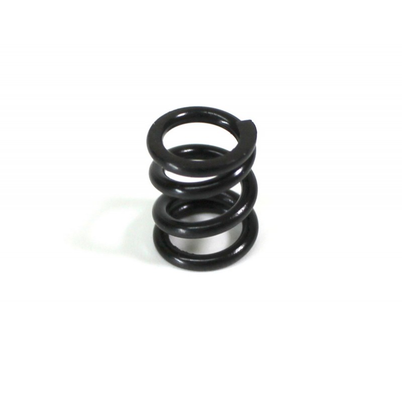 Slipper Spring TM4 4WD Comp. Buggy