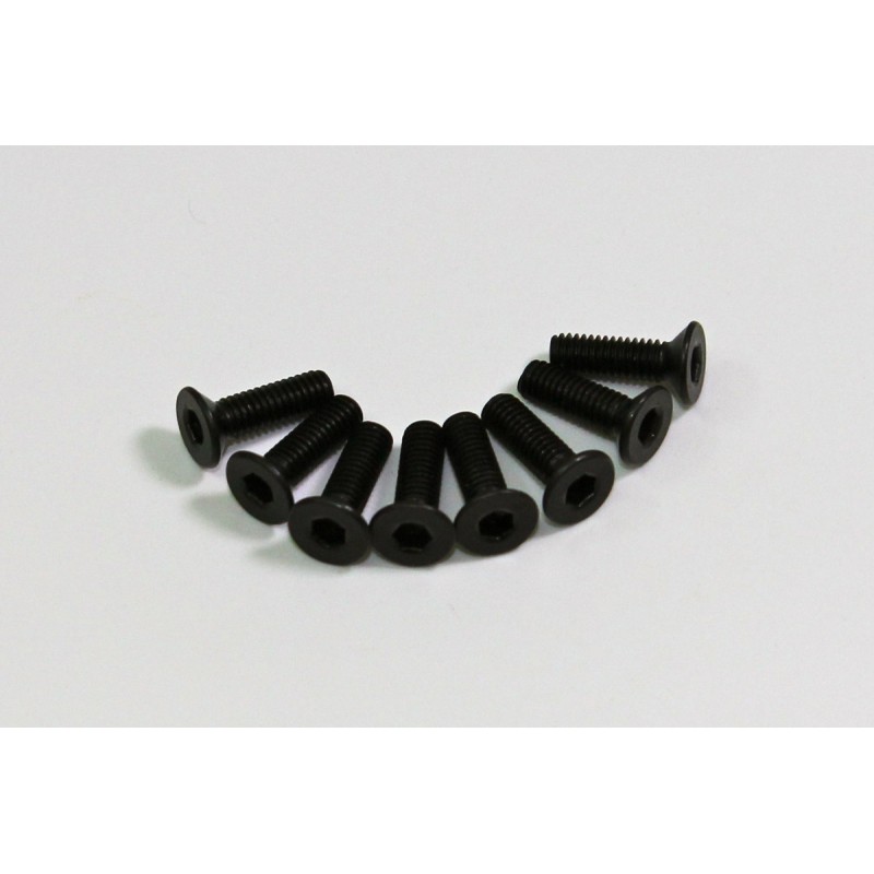 Flat Head Hex Screw 3x12mm (8 pcs)