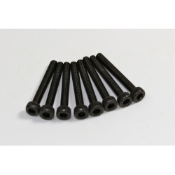 Cap Head Screw 3x25mm (8 pcs)