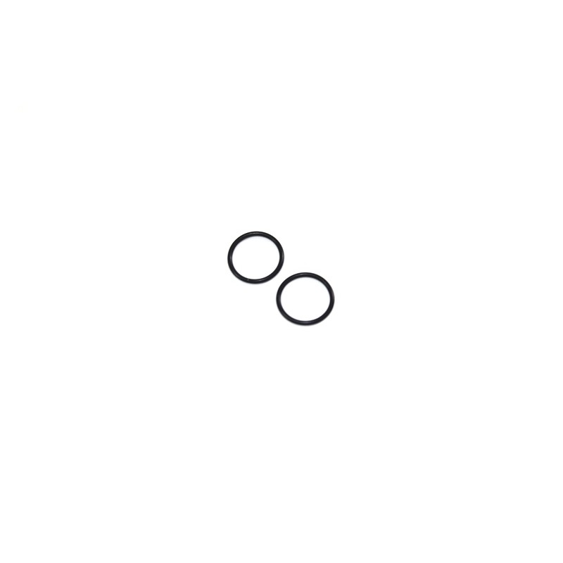 Carburator "O" Ring