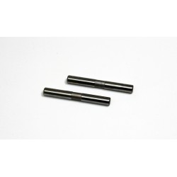Arm Pin 23mm (2) Comp. Onroad