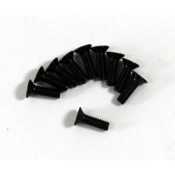 Flat Head Screw M2.5x8mm (10) Comp. Onroad