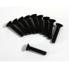 Flat Head Screw M3x15mm (10) Comp. Onroad