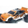 Painted Body Shell R10 Truggy