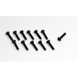 Head Cross screw M3x16 (12) Sand Buggy