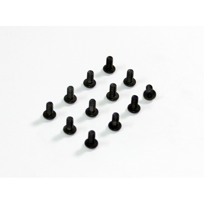 Allen Head Screw HM3x10 (12) AMT8