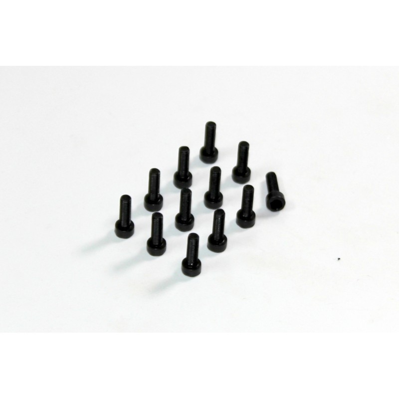 Allen Head Screw HM3x10 (12) AMT8
